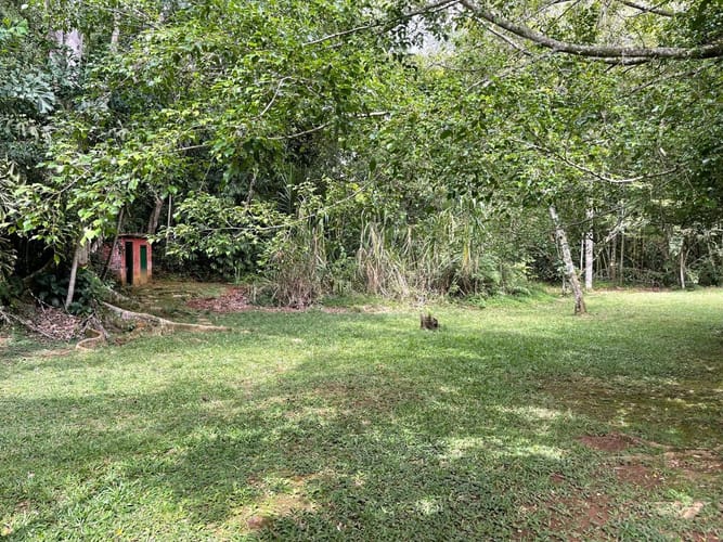 Lote en venta en La Reforma, Cali, 3400 m² · foto 17 de 17