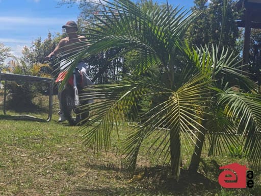 Finca en arriendo en Vargas, Marinilla, 5000 m² · foto 15 de 15