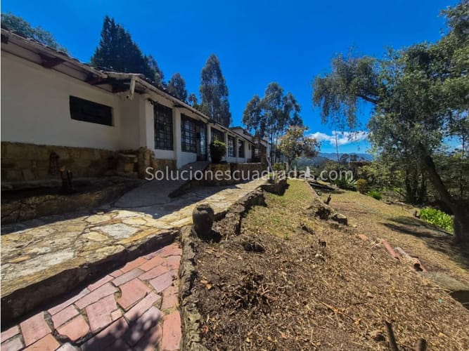Casa de 4 alcobas en arriendo en Gratamira, Sopó, 246 m² · foto 3 de 19