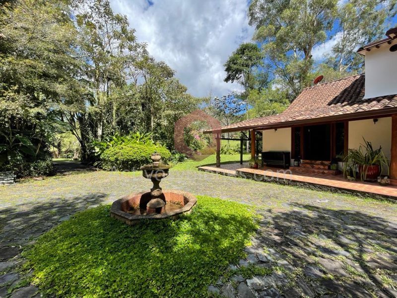 House for rent in Don diego, Rionegro