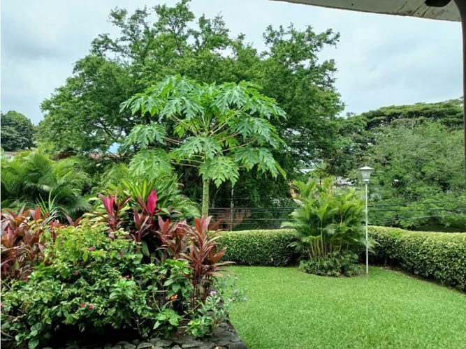 Casa de 4 alcobas en venta en Ciudad Jardin, Cali, 500 m² · foto 24 de 24