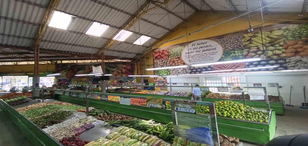 Local en arriendo en Cervantes, Manizales, 800 m² · foto 10 de 15