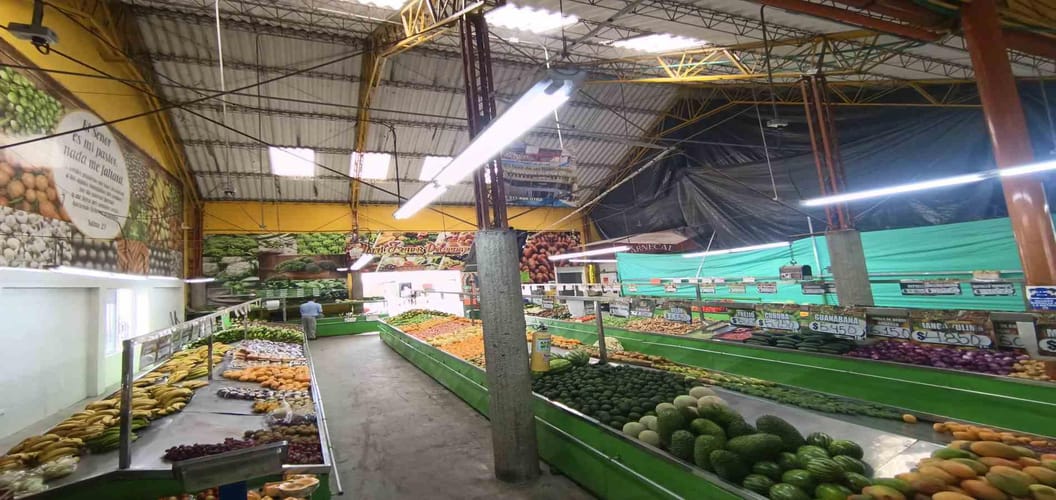 Local en arriendo en Cervantes, Manizales, 800 m² · foto 13 de 15