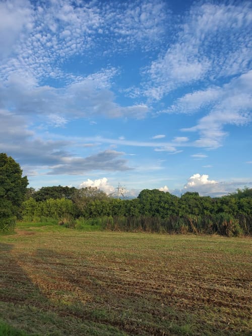 Lote en venta en Sector Galeria Central, Pereira, 63302 m² · foto 4 de 4
