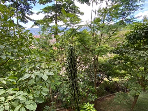 Apartamento de 3 alcobas en venta en Las Antillas, Envigado, 69 m² · foto 17 de 19