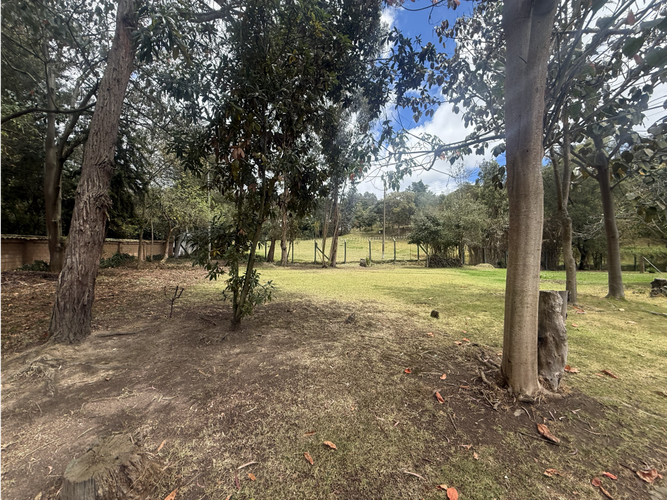 Casa en venta en Laura Vicuña, Chía, 450 m² · foto 4 de 12