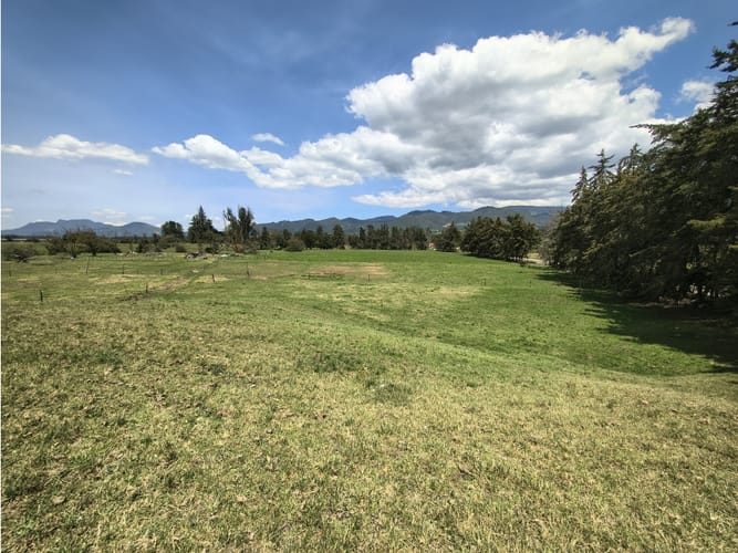 Lote en venta en San Jose Del Triunfo, La Calera, 30000 m² · foto 3 de 10