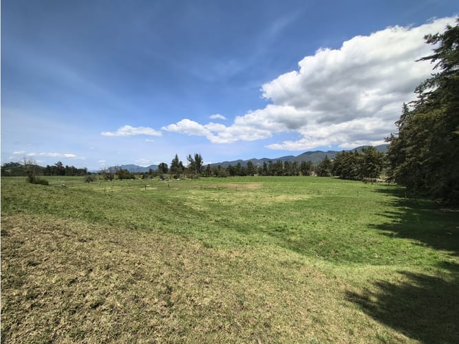 Lote en venta en San Jose Del Triunfo, La Calera, 30000 m² · foto 4 de 10