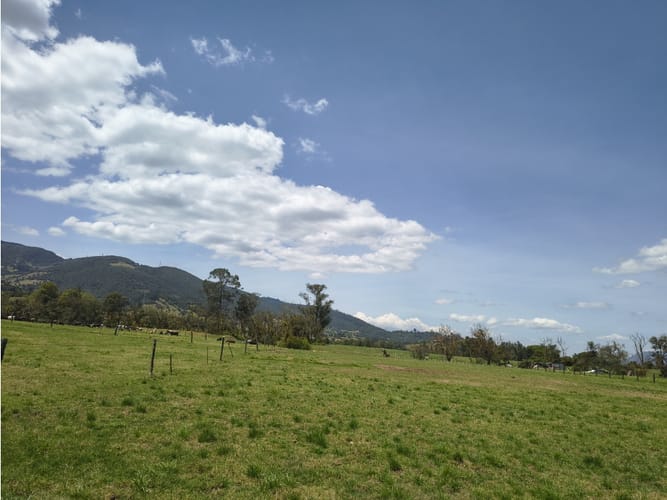 Lote en venta en San Jose Del Triunfo, La Calera, 30000 m² · foto 6 de 10