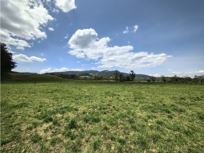 Lote en venta en San Jose Del Triunfo, La Calera, 30000 m² · foto 8 de 10