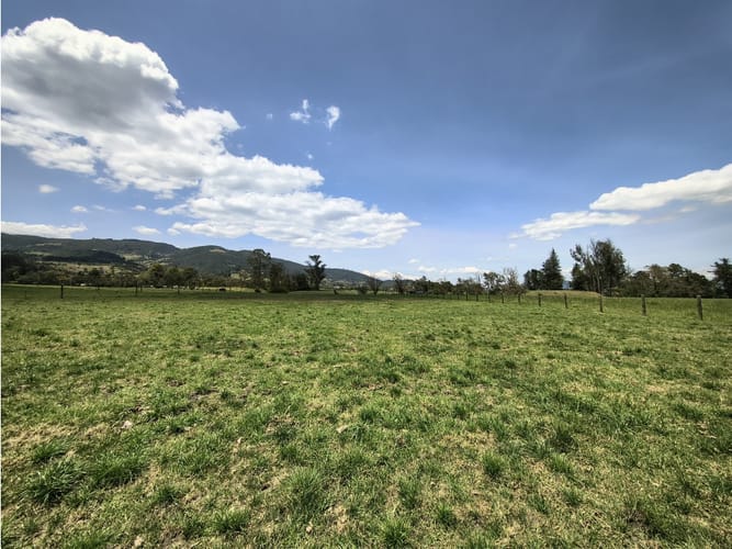 Lote en venta en San Jose Del Triunfo, La Calera, 30000 m² · foto 9 de 10