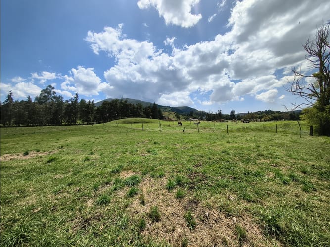 Lote en venta en San Jose Del Triunfo, La Calera, 30000 m² · foto 10 de 10