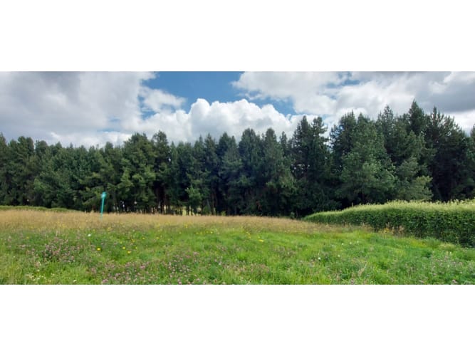 Lote en venta en El Libano, La Calera, 2457 m² · foto 2 de 5