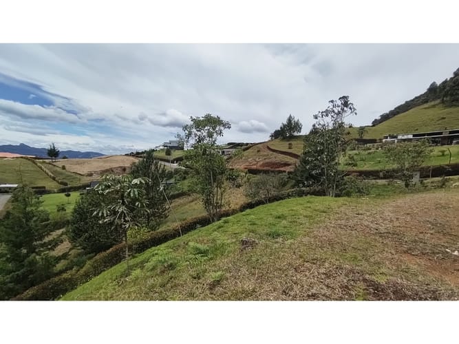 Lote en venta en El Tambo, La Ceja, 2501 m² · foto 10 de 12