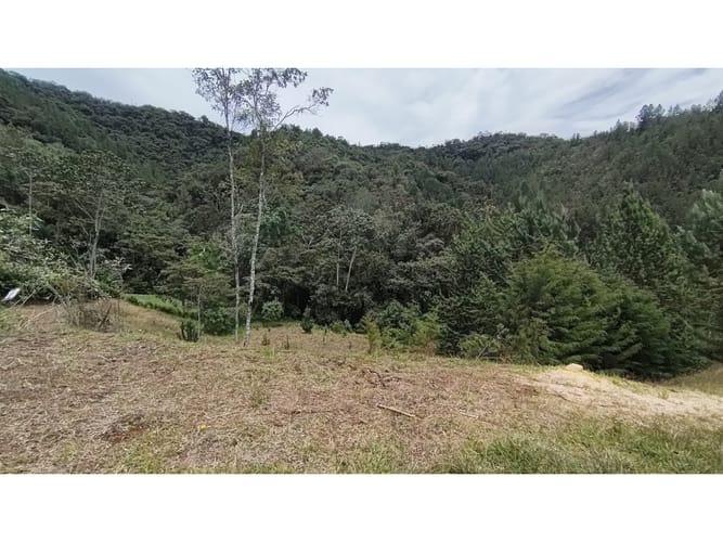 Lote en venta en El Tambo, La Ceja, 2501 m² · foto 11 de 12