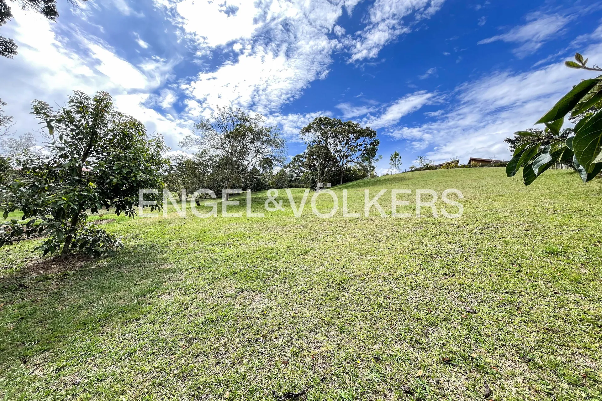 Land in Pantanillo for Sale - 4