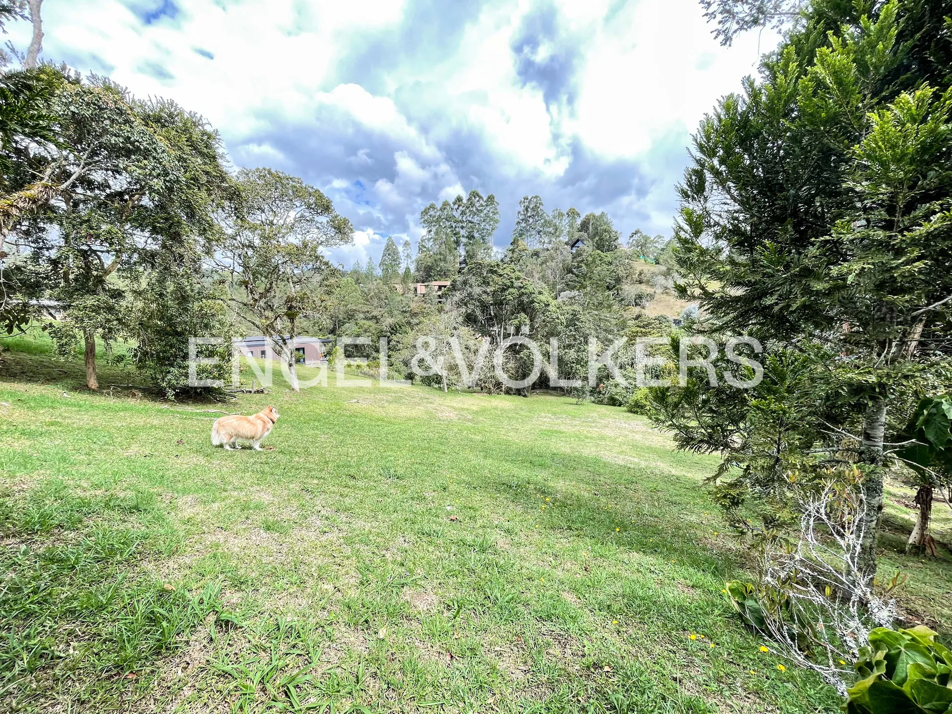 Land in Pantanillo for Sale - 2