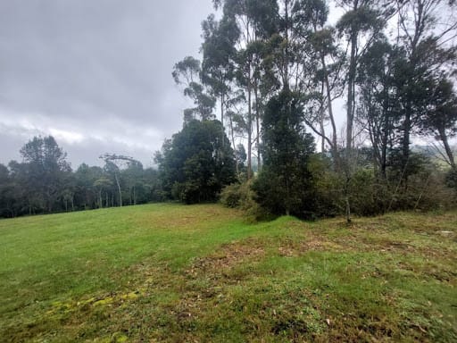 Lote en venta en Las Palmas, Envigado, 9501 m² · foto 4 de 24