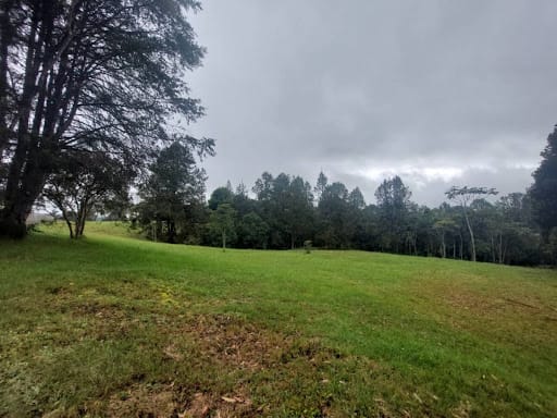 Lote en venta en Las Palmas, Envigado, 9501 m² · foto 5 de 24