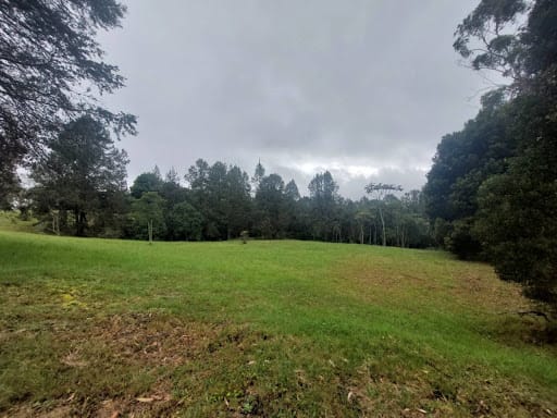 Lote en venta en Las Palmas, Envigado, 9501 m² · foto 6 de 24
