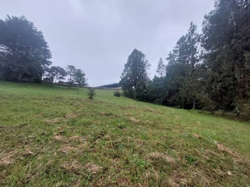 Lote en venta en Las Palmas, Envigado, 9501 m² · foto 8 de 24