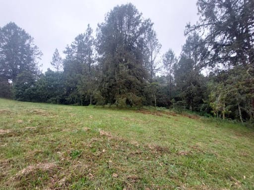 Lote en venta en Las Palmas, Envigado, 9501 m² · foto 9 de 24