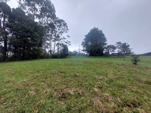 Lote en venta en Las Palmas, Envigado, 9501 m² · foto 10 de 24