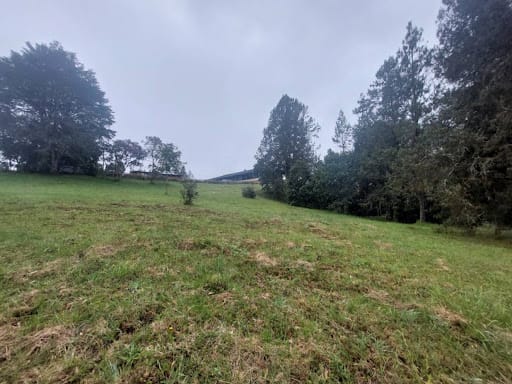 Lote en venta en Las Palmas, Envigado, 9501 m² · foto 11 de 24