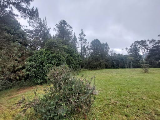 Lote en venta en Las Palmas, Envigado, 9501 m² · foto 12 de 24