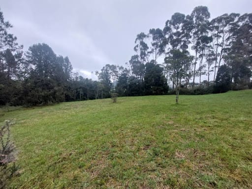 Lote en venta en Las Palmas, Envigado, 9501 m² · foto 13 de 24