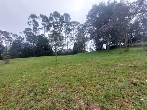 Lote en venta en Las Palmas, Envigado, 9501 m² · foto 14 de 24