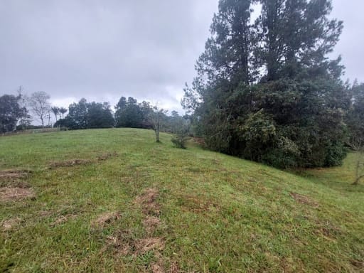 Lote en venta en Las Palmas, Envigado, 9501 m² · foto 18 de 24
