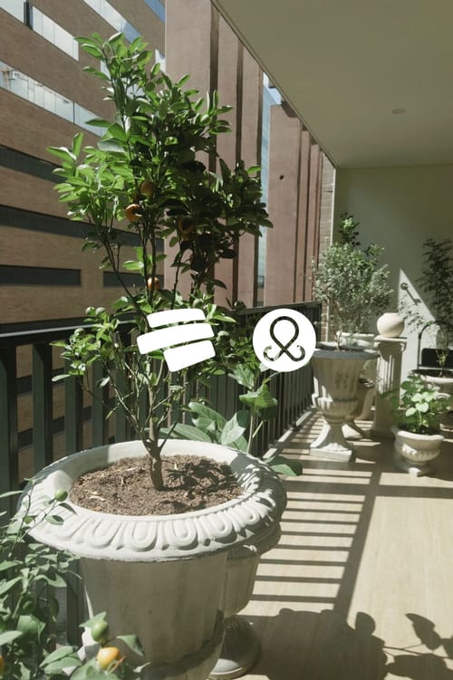 Apartamento de 2 alcobas en venta en Santa Maria De Los Angeles, Medellín, 83 m² · foto 16 de 16