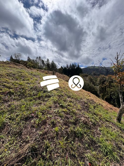 Lote en venta en El Molino, Guarne, 2600 m² · foto 7 de 13