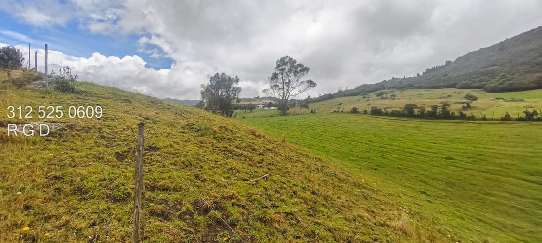 Lote en venta en La Diana, Sopó, 40000 m² · foto 4 de 13