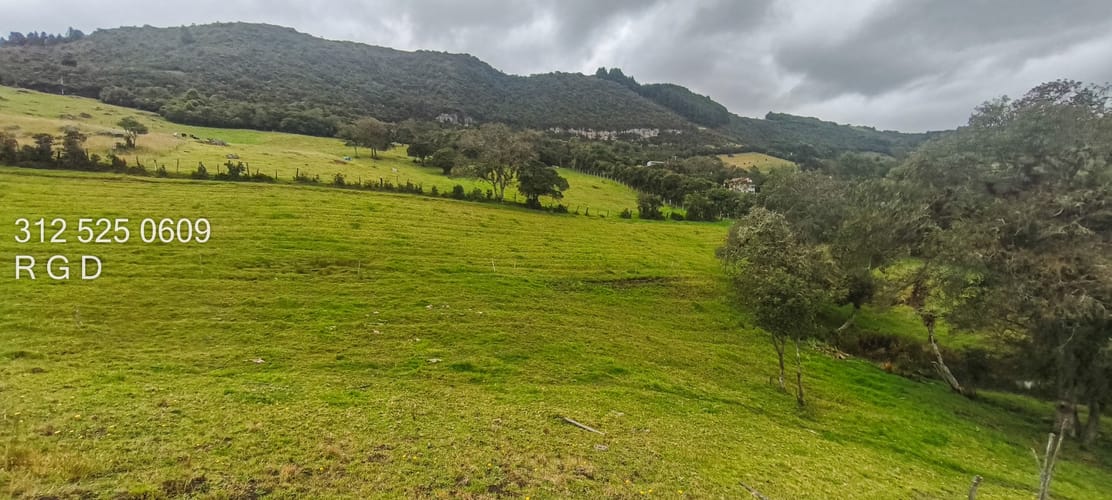 Lote en venta en La Diana, Sopó, 40000 m² · foto 6 de 13