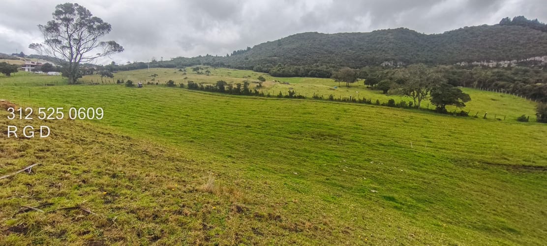 Lote en venta en La Diana, Sopó, 40000 m² · foto 5 de 13