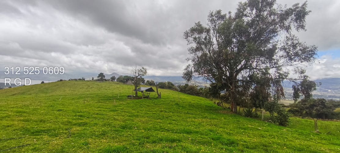 Lote en venta en La Diana, Sopó, 40000 m² · foto 9 de 13