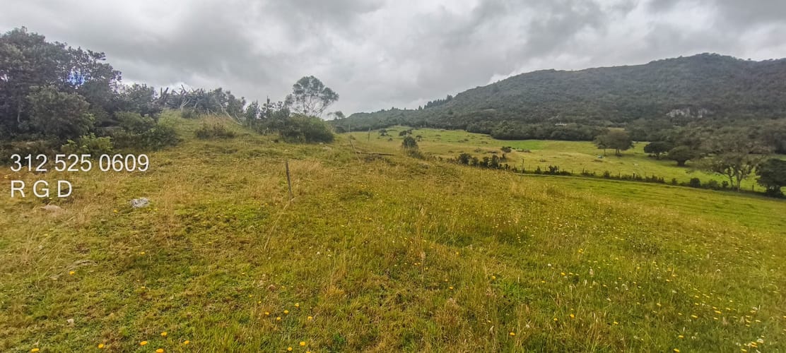 Lote en venta en La Diana, Sopó, 40000 m² · foto 11 de 13