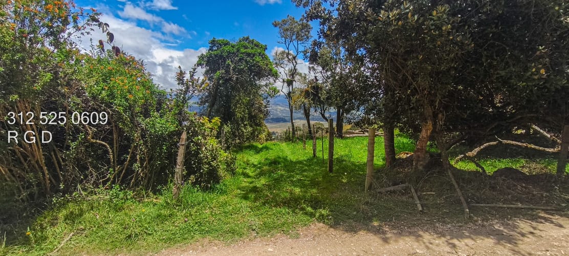 Lote en venta en La Diana, Sopó, 40000 m² · foto 13 de 13