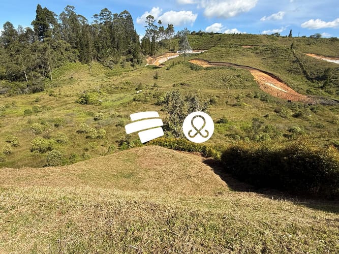 Lote en venta en Los Colegios, Rionegro, 2128 m² · foto 5 de 15