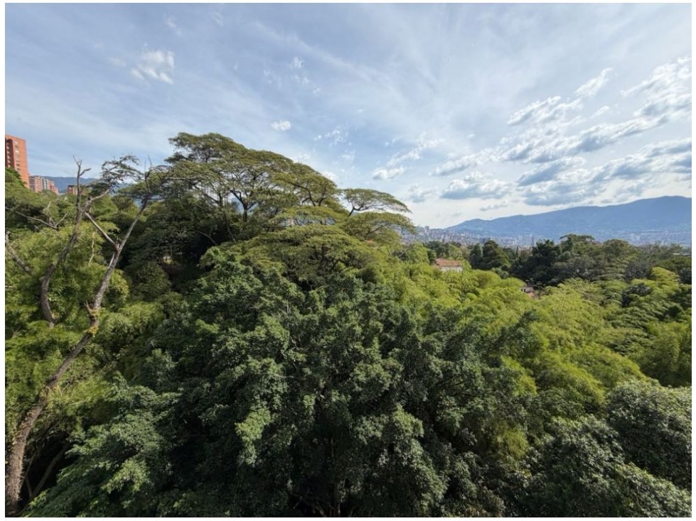 Apartamento en venta en Loma Benedictinos, Medellín · foto 8 de 20