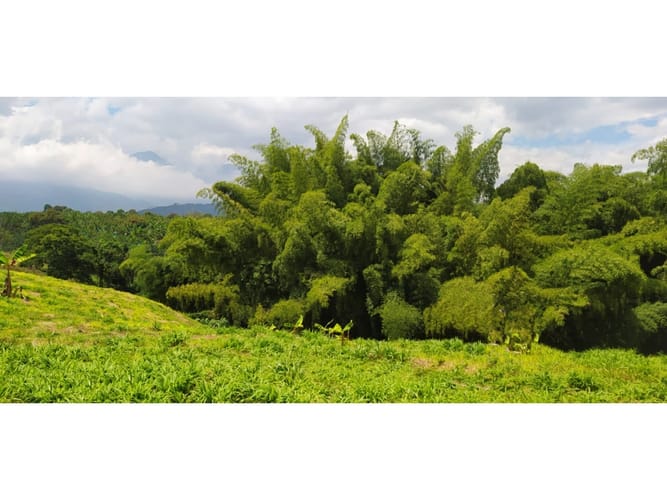 Lote en venta en El Caimo, Armenia, 2020 m² · foto 4 de 13