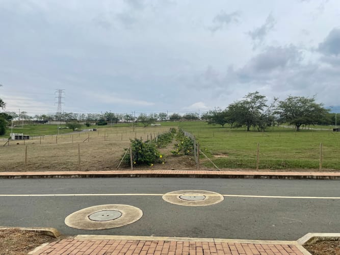 Lote en venta en La Riverita, Cali, 1500 m² · foto 15 de 19