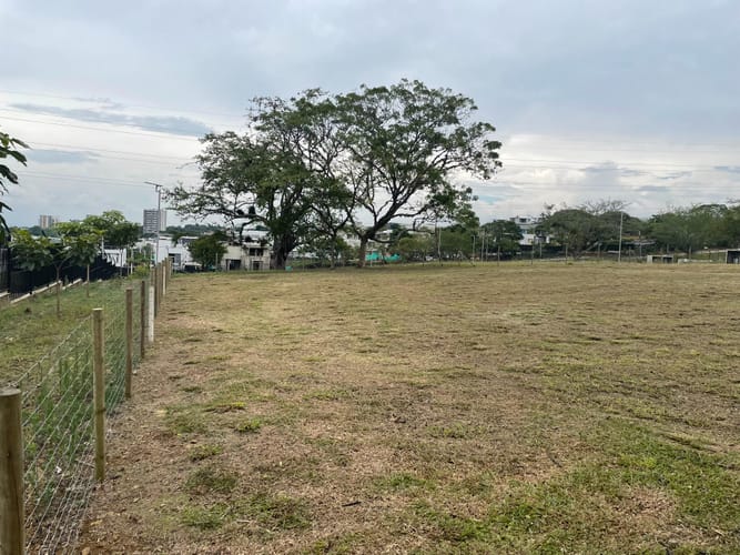 Lote en venta en La Riverita, Cali, 1500 m² · foto 17 de 19