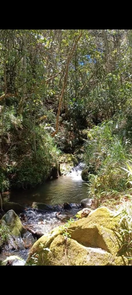 Lote en venta en La Clara, Guarne, 1873 m² · foto 5 de 9
