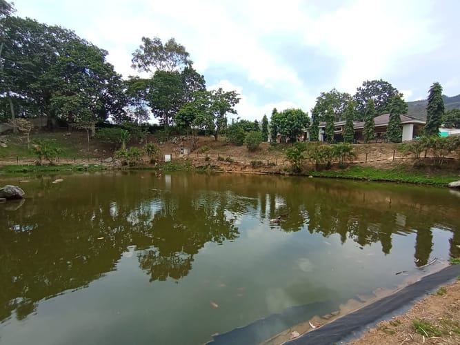 Lote en venta en Menzuly, Piedecuesta, 1400 m² · foto 9 de 10