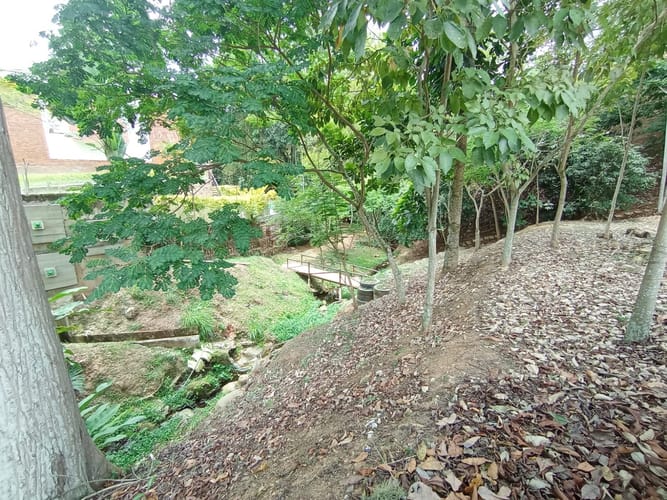 Lote en venta en Menzuly, Piedecuesta, 1400 m² · foto 10 de 10