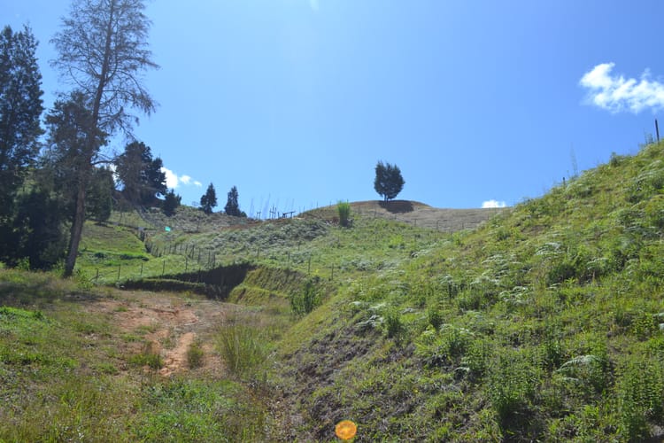 Lote en venta en Guarne, 1368 m² · foto 17 de 24