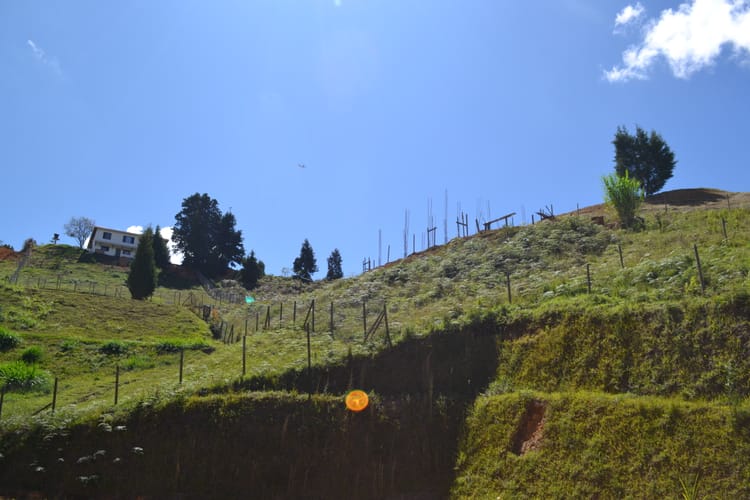 Lote en venta en Guarne, 1368 m² · foto 18 de 24